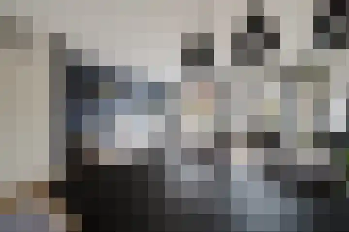 P. Hellendaalstraat 14 Spijkenisse thumbnail 11