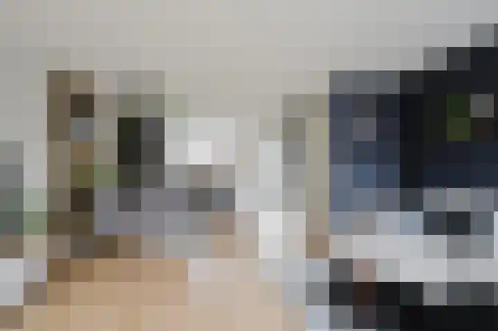 P. Hellendaalstraat 14 Spijkenisse thumbnail 15