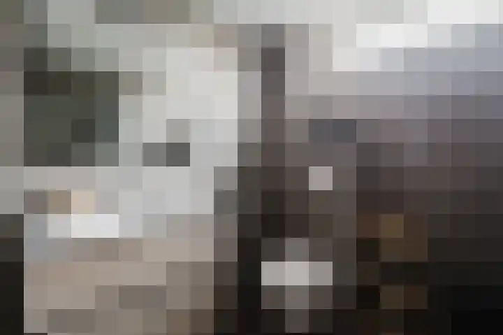 P. Hellendaalstraat 14 Spijkenisse thumbnail 21