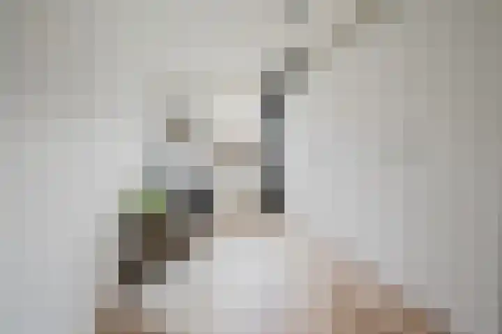 P. Hellendaalstraat 14 Spijkenisse thumbnail 24