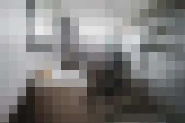 P. Hellendaalstraat 14 Spijkenisse thumbnail 4