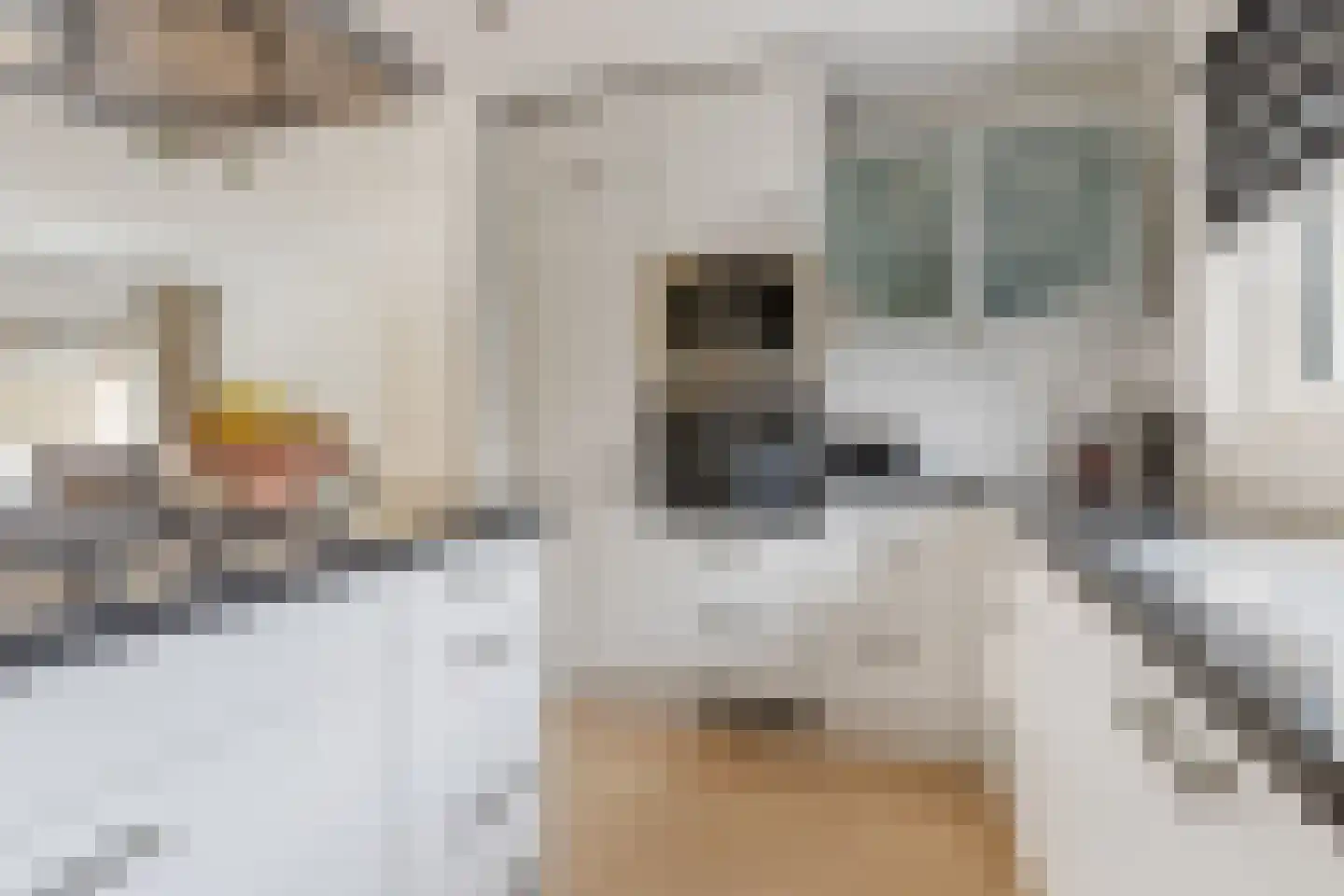 P.J.C.Gabriëlgaarde 4 Kortenhoef thumbnail 11