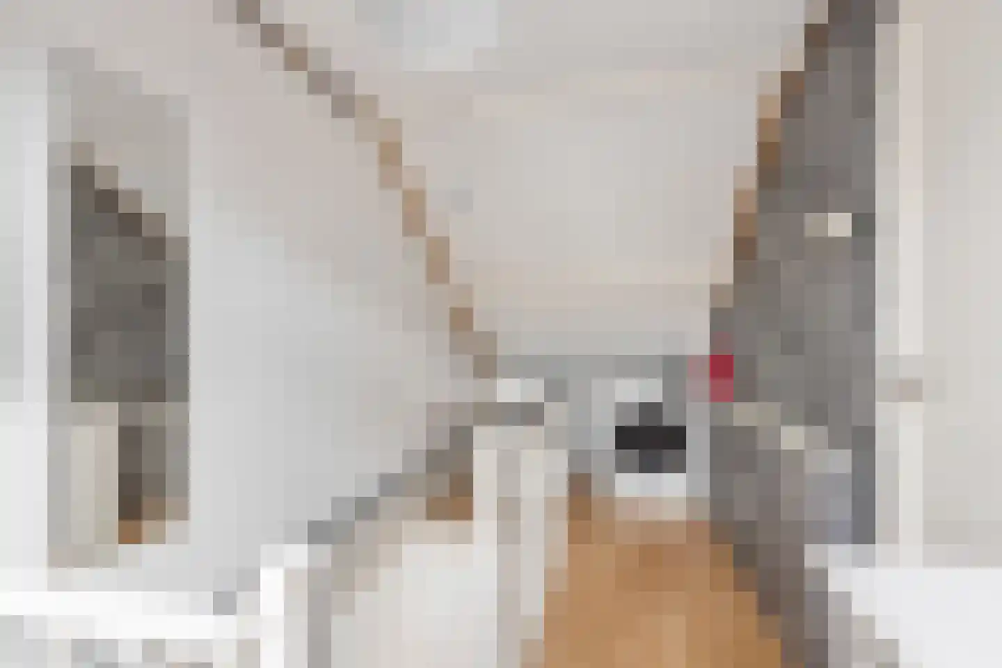 P.J.C.Gabriëlgaarde 4 Kortenhoef thumbnail 24