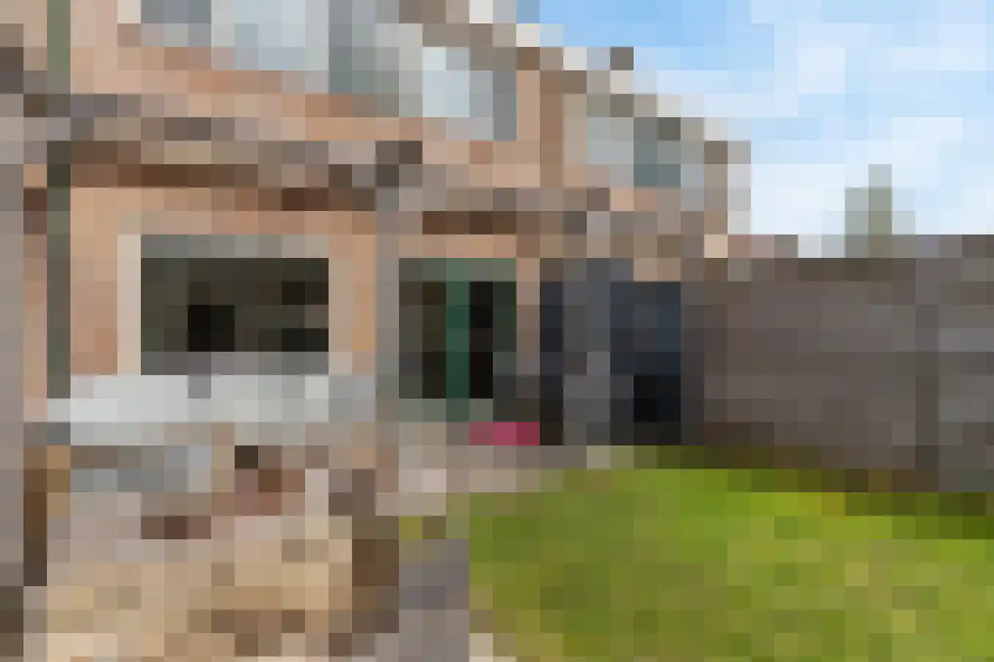 P.J.C.Gabriëlgaarde 4 Kortenhoef thumbnail 29