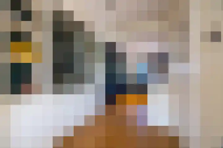 P.J.C. Gabriëllaan 3 Bussum thumbnail 11