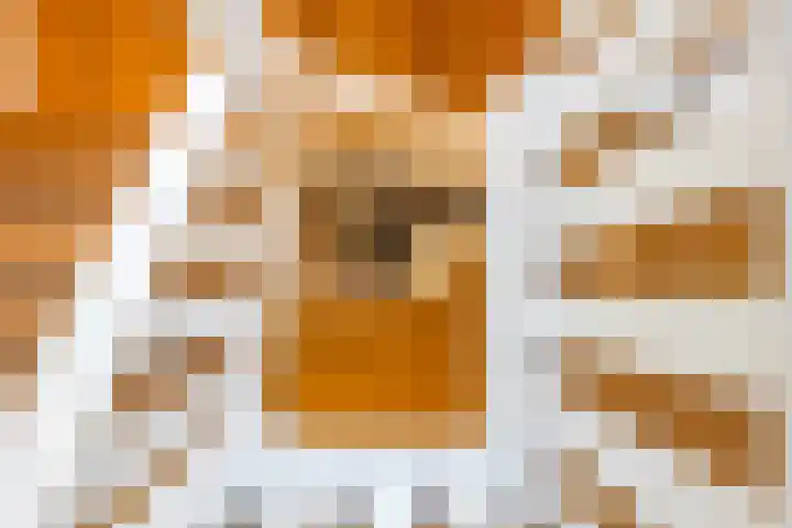 P.J.C. Gabriëllaan 3 Bussum thumbnail 39