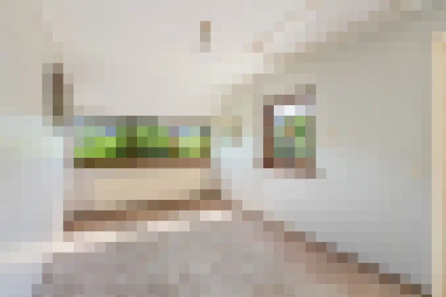 P J de Kokstraat 4 De Zilk thumbnail 12