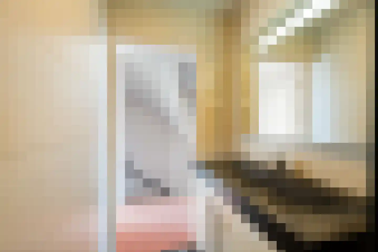 P J de Kokstraat 4 De Zilk thumbnail 29