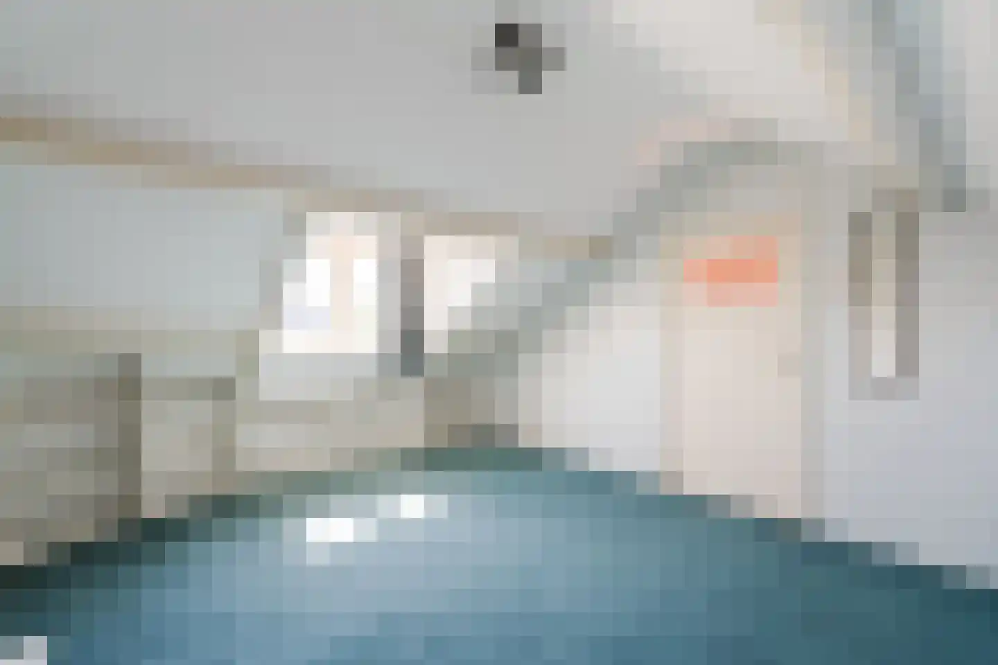 P J de Kokstraat 4 De Zilk thumbnail 40