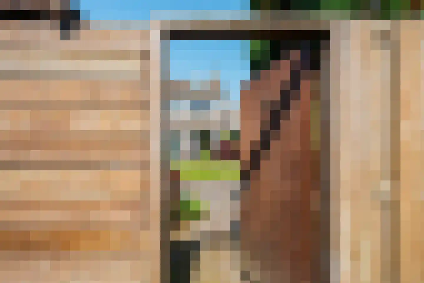 P J de Kokstraat 4 De Zilk thumbnail 43
