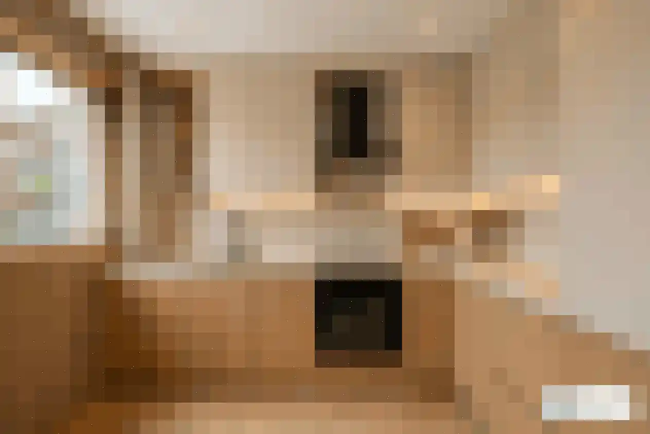 P J de Kokstraat 4 De Zilk thumbnail 9