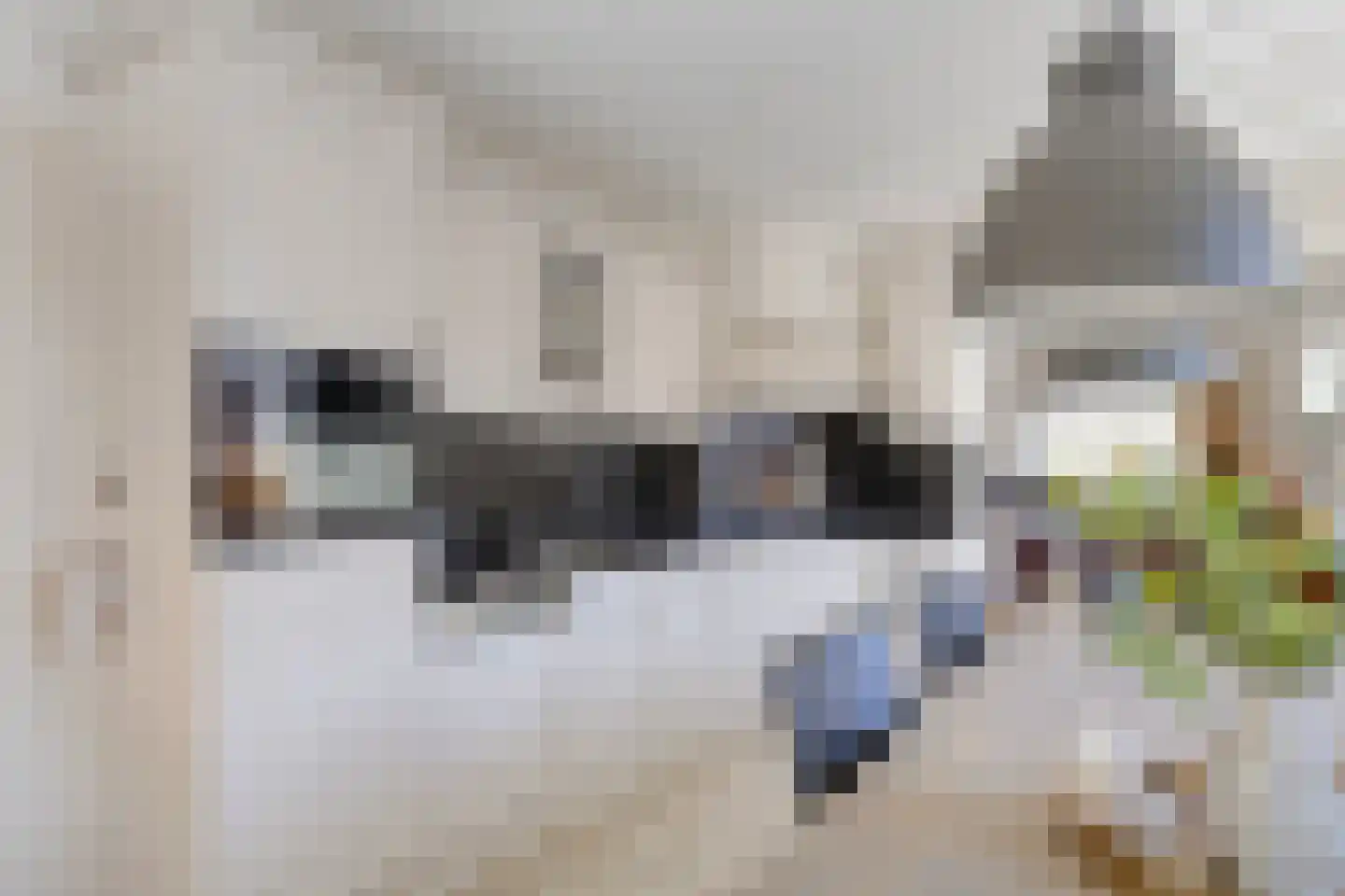 P.J. Geldermanstraat 10 Oldenzaal thumbnail 8