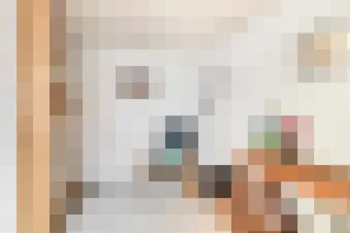 P.J. Haagenstraat 22 Best thumbnail 10