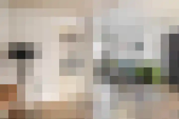 P.J. Haagenstraat 22 Best thumbnail 12