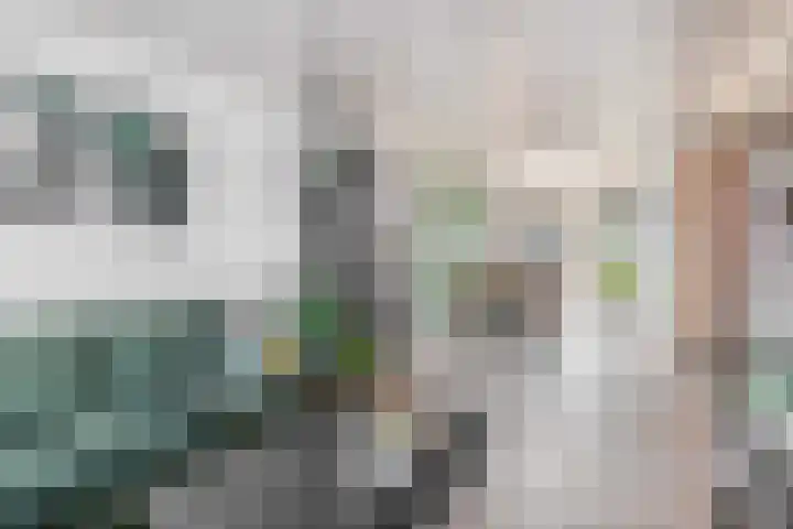 P.J. Haagenstraat 22 Best thumbnail 13