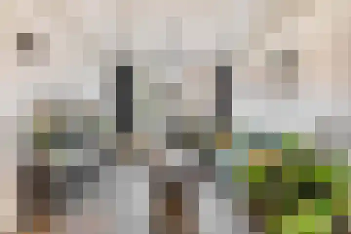 P.J. Haagenstraat 22 Best thumbnail 14