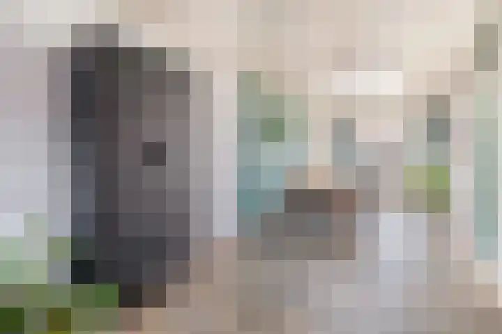 P.J. Haagenstraat 22 Best thumbnail 16