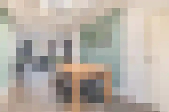 P.J. Haagenstraat 22 Best thumbnail 18