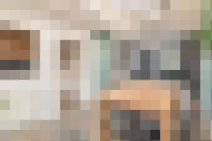 P.J. Haagenstraat 22 Best thumbnail 19