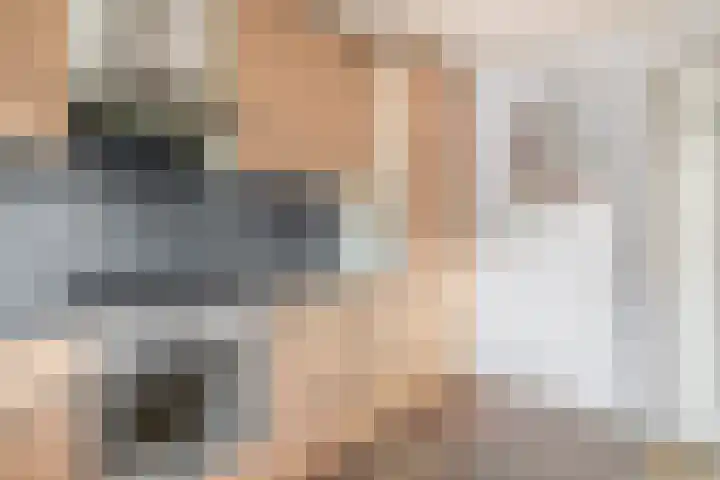 P.J. Haagenstraat 22 Best thumbnail 22