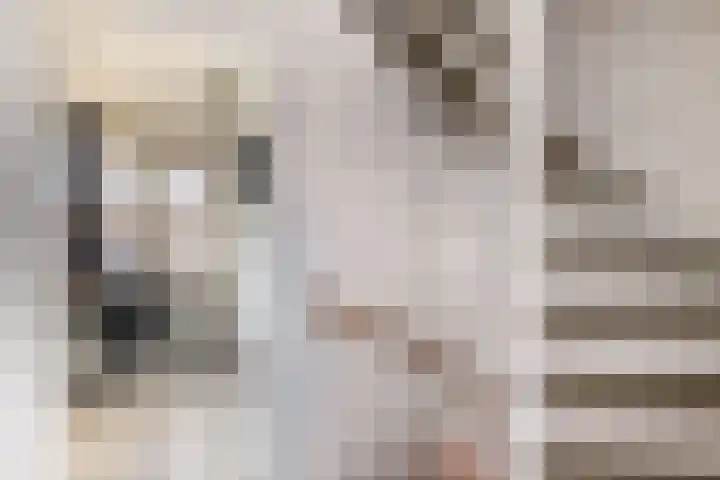 P.J. Haagenstraat 22 Best thumbnail 25