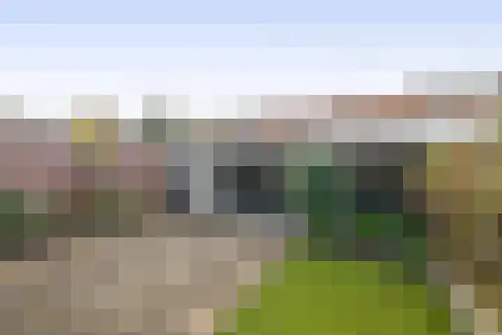P.J. Haagenstraat 22 Best thumbnail 36