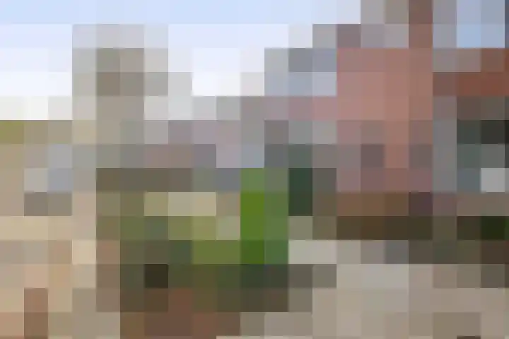 P.J. Haagenstraat 22 Best thumbnail 45