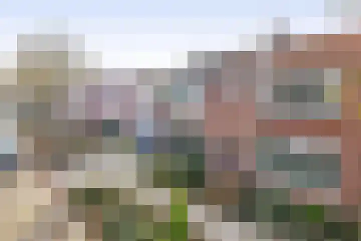 P.J. Haagenstraat 22 Best thumbnail 46