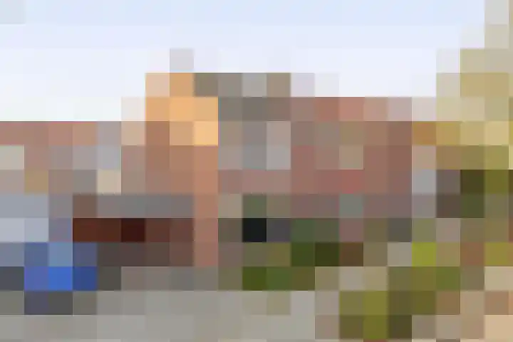 P.J. Haagenstraat 22 Best thumbnail 47