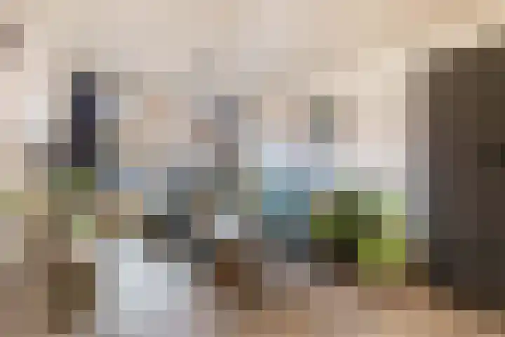 P.J. Haagenstraat 22 Best thumbnail 8