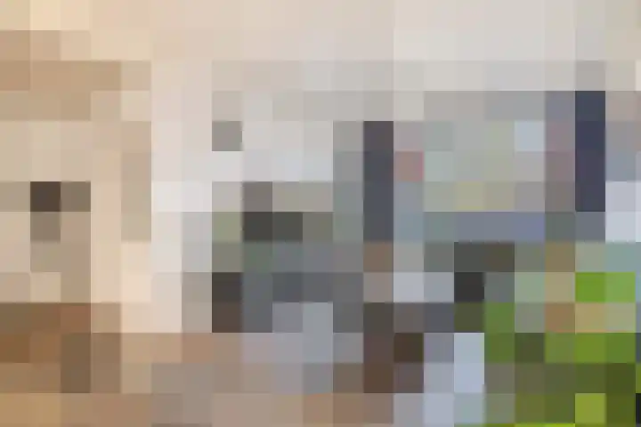 P.J. Haagenstraat 22 Best thumbnail 9