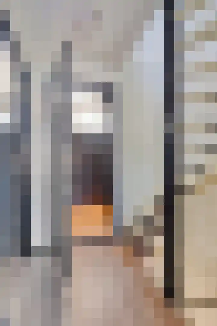 P.J. Haagenstraat 26 Best thumbnail 17
