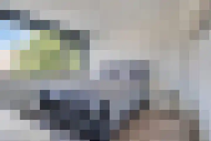 P.J. Haagenstraat 26 Best thumbnail 18