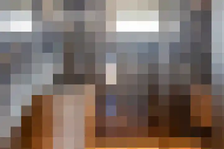 P.J. Haagenstraat 26 Best thumbnail 25