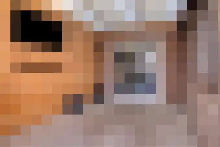 P.J. Haagenstraat 26 Best thumbnail 33
