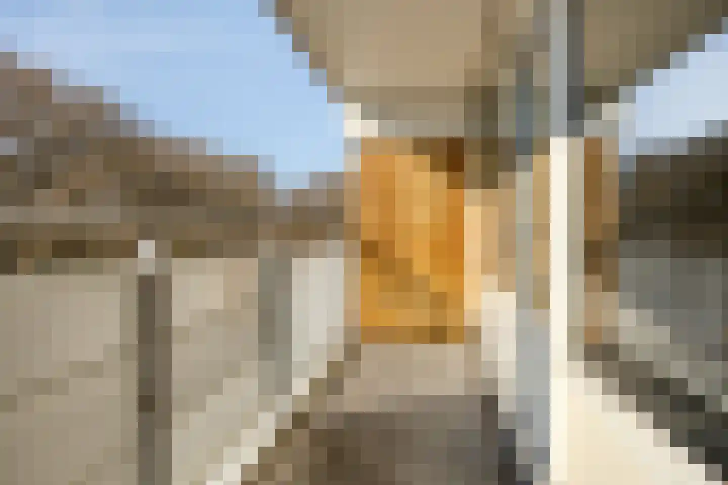 P.J.M. Aalbersestraat 52 Papendrecht thumbnail 6