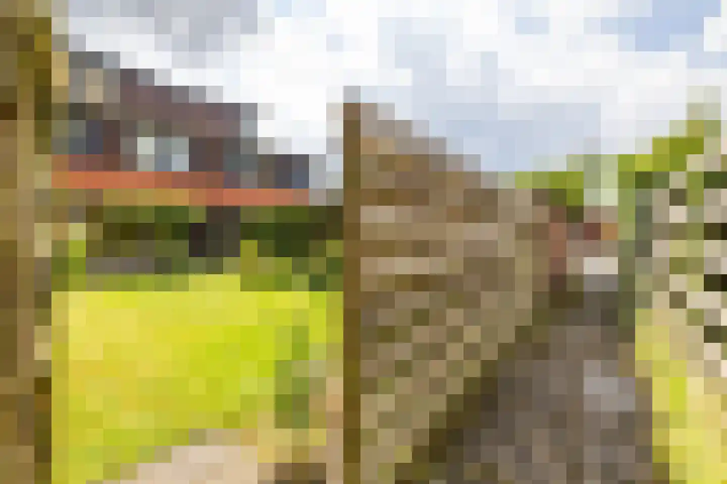 P.J. Noël Bakerstraat 29 Groningen thumbnail 44