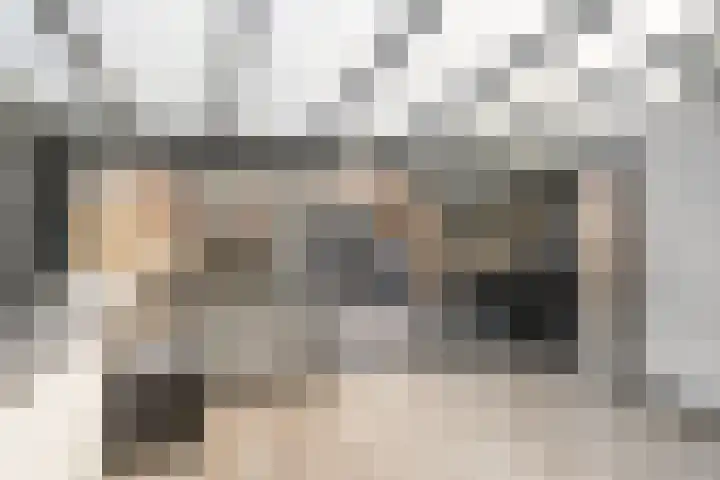 P J Troelstralaan 26 Schiedam thumbnail 6