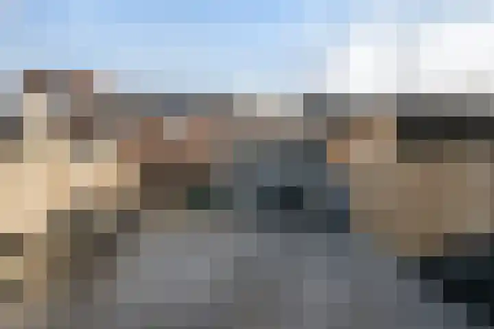 P J Troelstralaan 26 Schiedam thumbnail 8