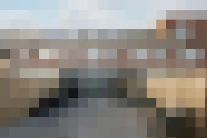 P J Troelstralaan 26 Schiedam thumbnail 9
