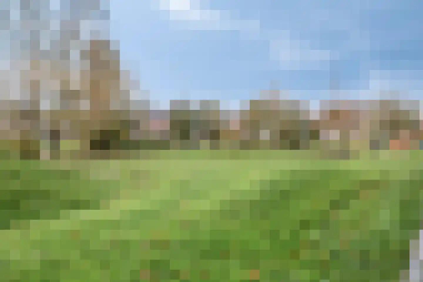 P J Troelstralaan 8 E Schiedam thumbnail 33