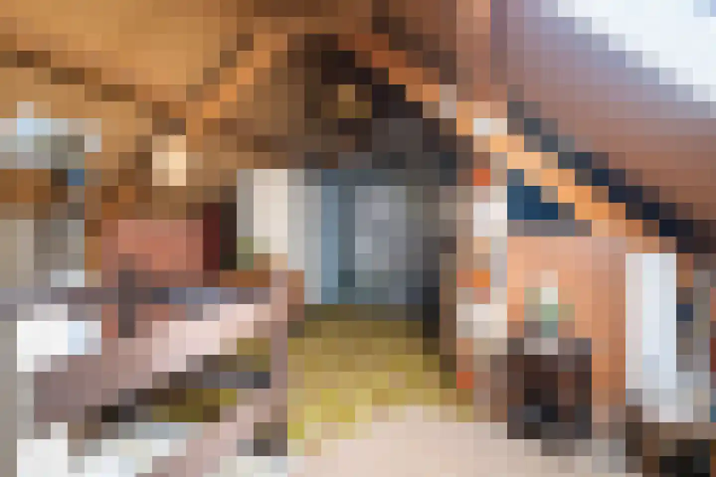 P J Troelstrastraat 15 Franeker thumbnail 30