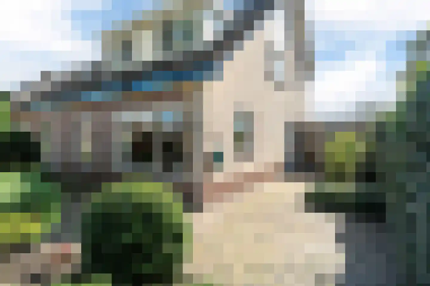 P J Troelstrastraat 15 Franeker thumbnail 36