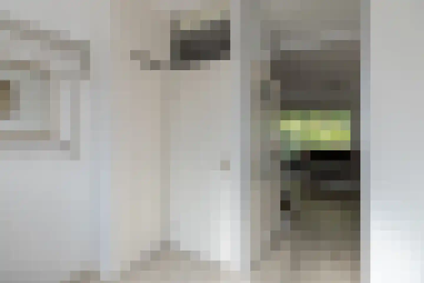 P.J. Troelstrastraat 28 Papendrecht thumbnail 7