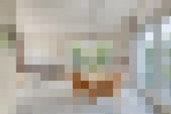 P.J. Troelstrastraat 3 Appelscha thumbnail 15