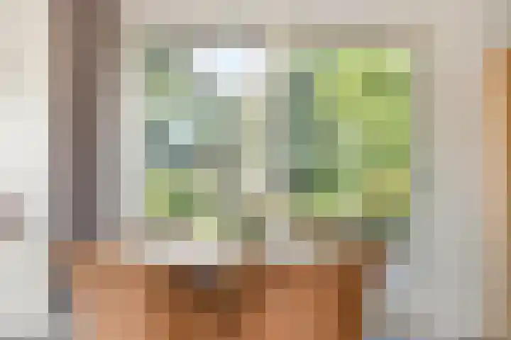 P.J. Troelstrastraat 3 Appelscha thumbnail 16