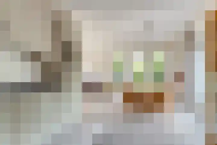 P.J. Troelstrastraat 3 Appelscha thumbnail 17