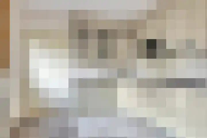 P.J. Troelstrastraat 3 Appelscha thumbnail 18