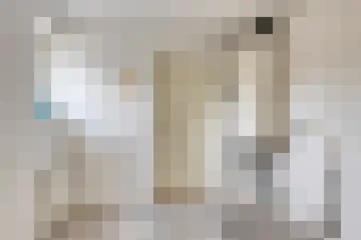 P.J. Troelstrastraat 3 Appelscha thumbnail 23