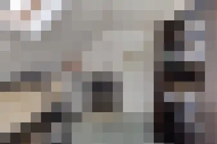 P.J. Troelstrastraat 3 Appelscha thumbnail 30